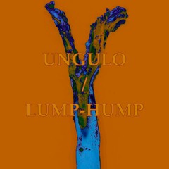 Lump-Hump
