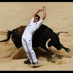 Project Matador pt. 2