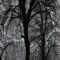 The Liar (Feat. Aidan Flores-Hall)