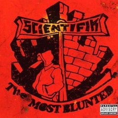 Scientifik - I Aint The Dam One