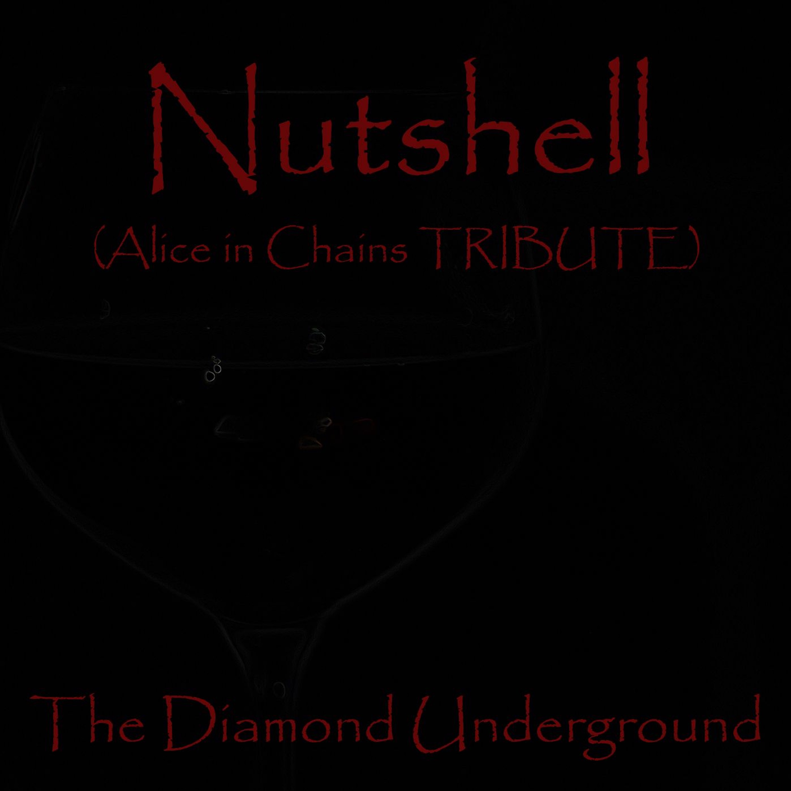 Nutshell (Alice in Chain - Tribute) episode artwork