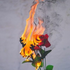 Be Alright - Payton Rector (Prod. by Blackline Productions)