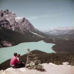 Urban Shaman - LAVA LAMPS