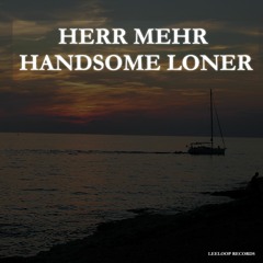 Herr Mehr - Handsome Loner