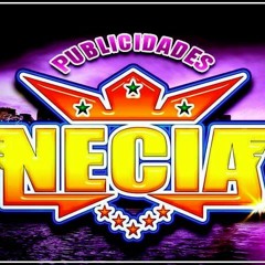 Vagabundo - Estrellas De La Kumbia Limpia