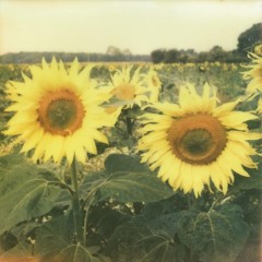 THIS INSTRUMENTAL HAS NO NAME (snippet)