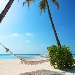 STRANDED  from the PETER JAMES BAND album Livin' For The Summer