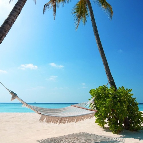 STRANDED  from the PETER JAMES BAND album Livin' For The Summer