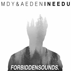 [FS018] MDY. & AEDEN - I NEED U (Original Mix)