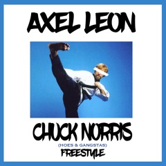 Chuck Norris Freestyle (Hoes & Gangstas)