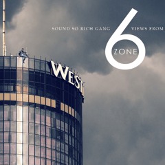 Views from Zone Six - 9ine Lives