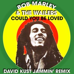 Bob Marley - Could You Be Loved (David Kust Jammin Remix)
