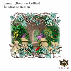 Summer - The Strange Reason (Original Mix) - OUT NOW