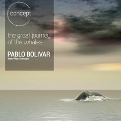 Concept 08: The Great Journey of the Whales, by Pablo Bolivar (Seven Villas, Avantroots)
