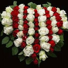 **ROse sE kahTo**.3gp