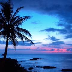 Boulevard Of Broken Dreams - Tropical House Remix