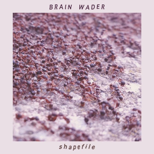 Stream Popcorn Dog by BRAIN WADER | Listen online for free on SoundCloud