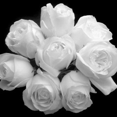 ｒｏｓｅｓ♡