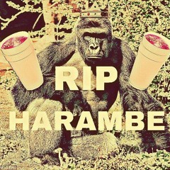 SHE FARTED ON MY DICK [PROD. YUNG JIZZ]