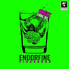 Fake HC (Breez Remix)