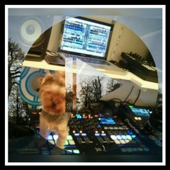 Dani-C - Progressive Underdog 006 [July] 2016