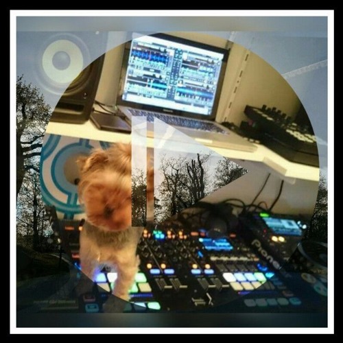 Dani-C - Progressive Underdog 006 [July] 2016