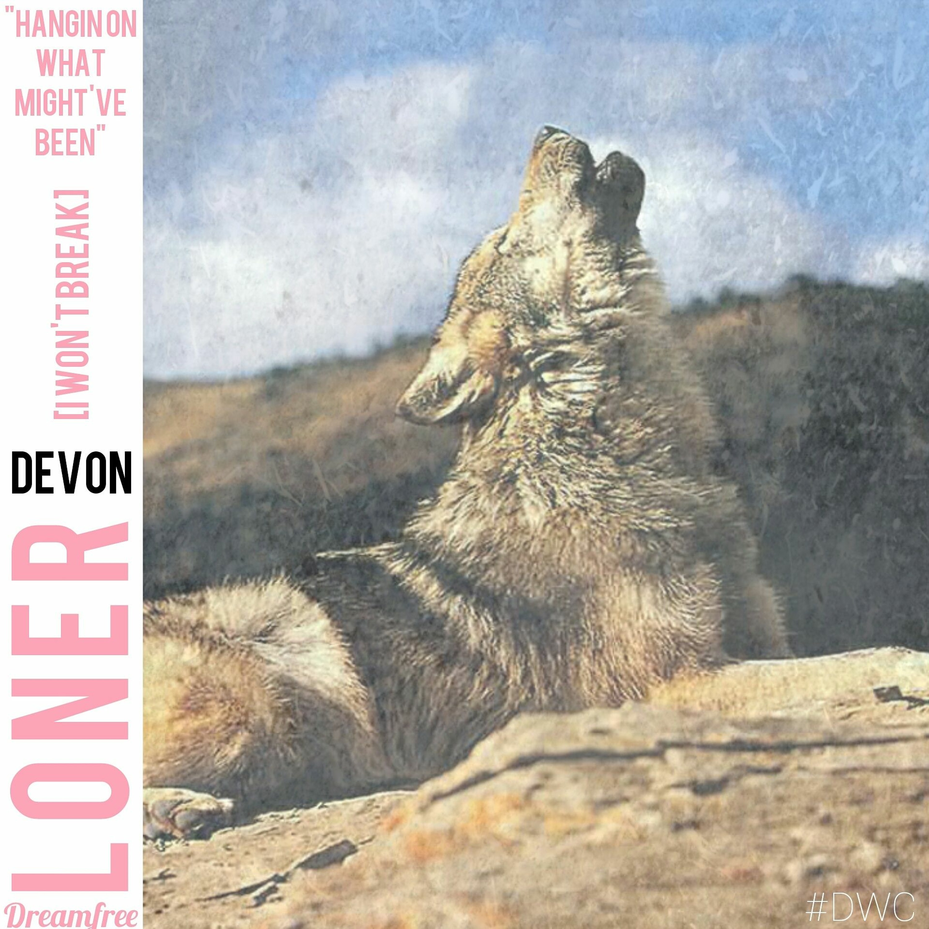 Loner [Circa 2013] episode artwork