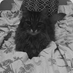 Still Crazy After All These Years