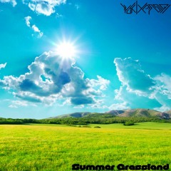 2016 summer