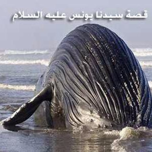قصة سيدنا يونس