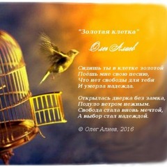 Золотая клетка