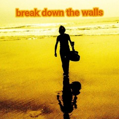 Break Down The Walls