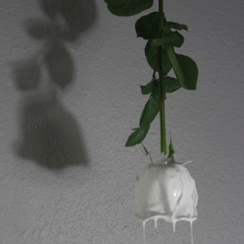 SPIT MASK - HARD COMMANDS