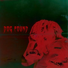 DOG POUND