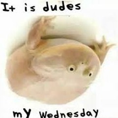 Wednesday My Dudes