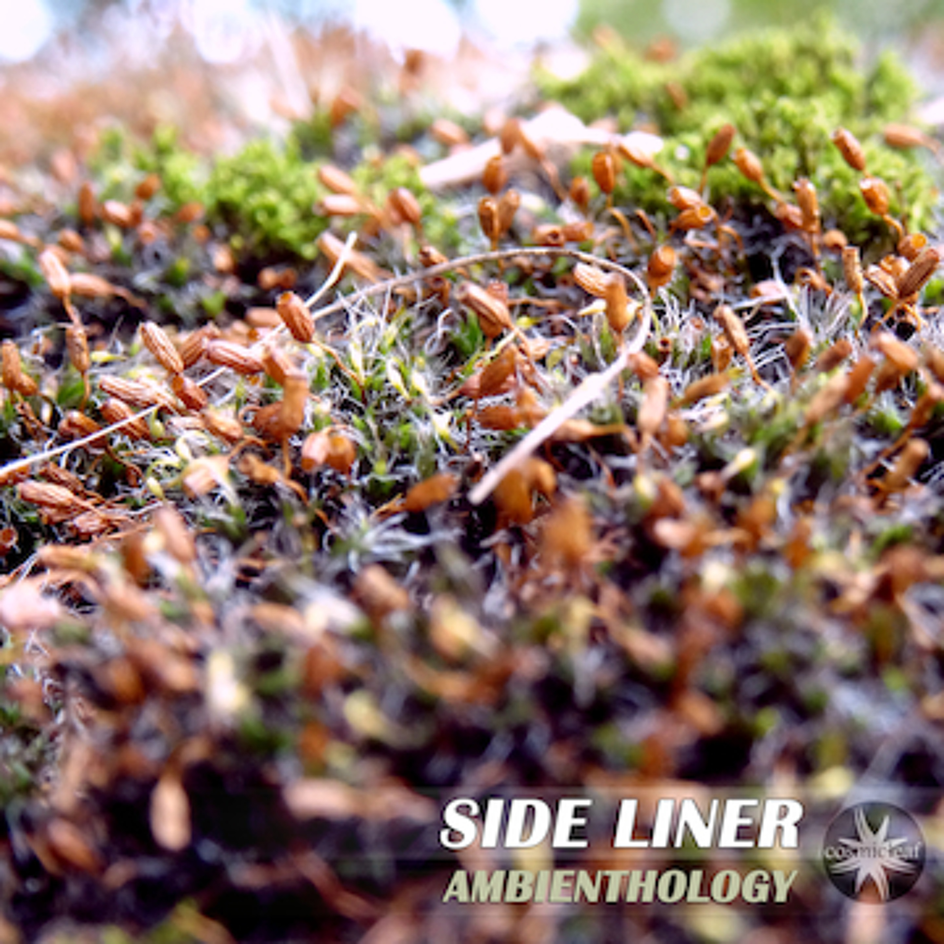 Side Liner - Once Upon a Time (Ambient Edit)