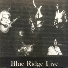 Bluebird Wine (original by Emmylou Harris)