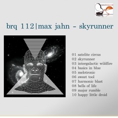 brq 112 - max jahn - 06 sweat tool