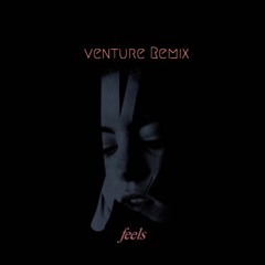 Kiiara - Feels (Venture Remix)
