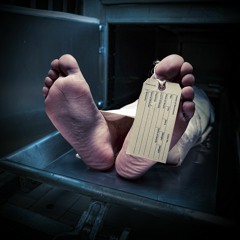 100 Ways to say I'm sorry