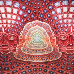 The Infinite Faces Of Quantum Vibrations