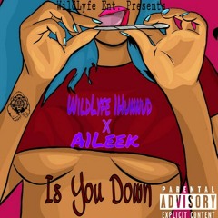 Is You Down WildLyfe 1Hunnud ft. A1Leek
