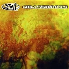 Homebrew (311 Cover)