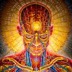 Yoga - Guided Meditations