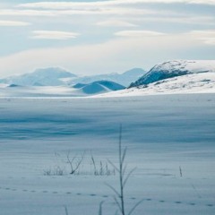 Alone But Free