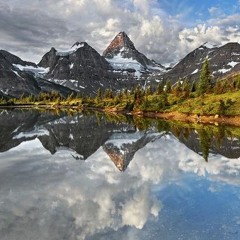 Reason - J ShaqxShayxTrey