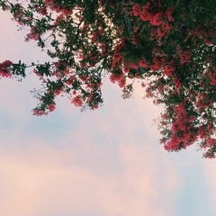 Valorize sua vida, acredito em você. (w/ @projeiro)