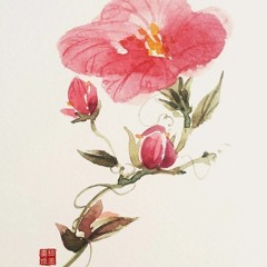 Cô Ấy - Luân Tang