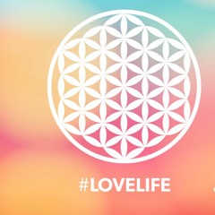 JJoy - Love Life(radio Edit)