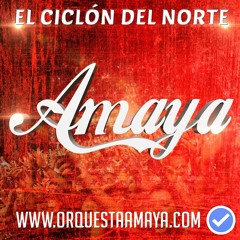 Amaya Hrnos - He Sentido Amor (Acapella Studio)